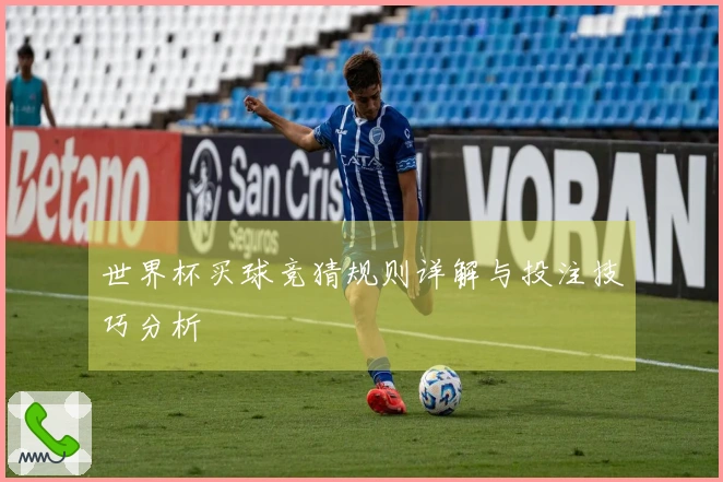 世界杯买球竞猜规则详解与投注技巧分析