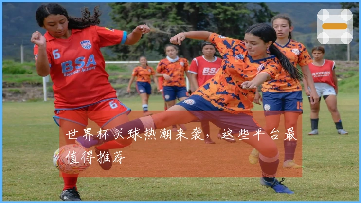 世界杯买球热潮来袭，这些平台最值得推荐