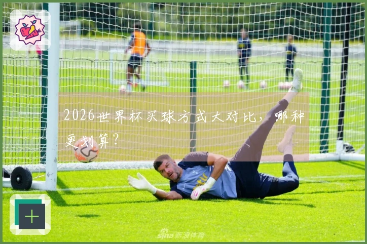 2026世界杯买球方式大对比，哪种更划算？