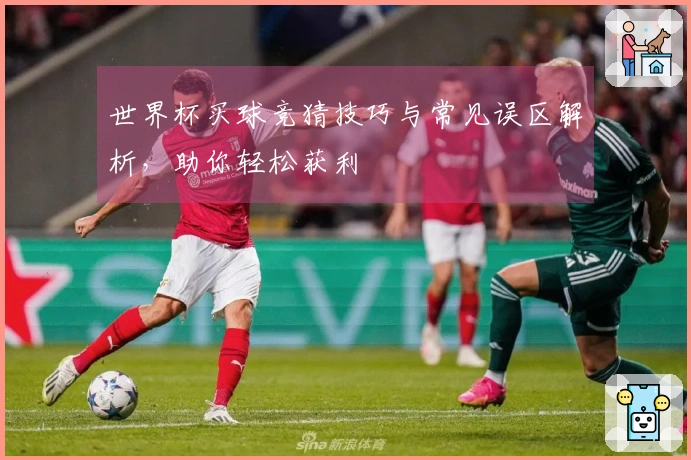 世界杯买球竞猜技巧与常见误区解析，助你轻松获利